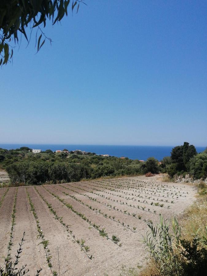 Monolocale Zona Mare Pisturri Διαμέρισμα Magomadas Εξωτερικό φωτογραφία